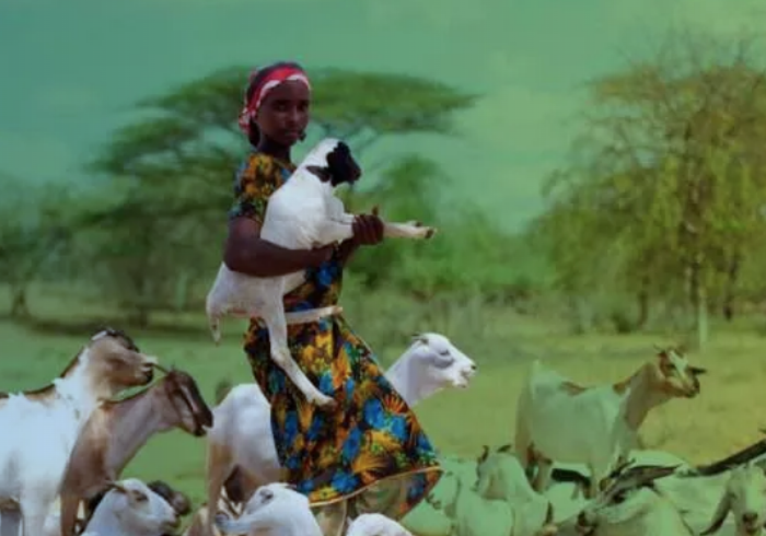 The Dev Hub: The Power Shift: Decolonising Development